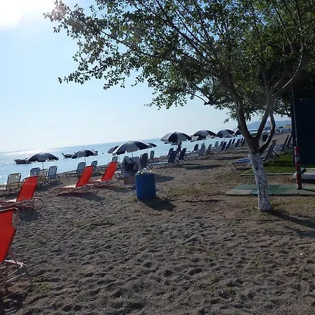 玫瑰园鲁姆斯旅馆