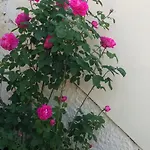 Rose Garden Πανσιόν 3*